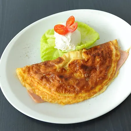 Hemera 포드고리차